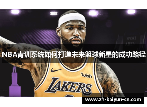 NBA青训系统如何打造未来篮球新星的成功路径