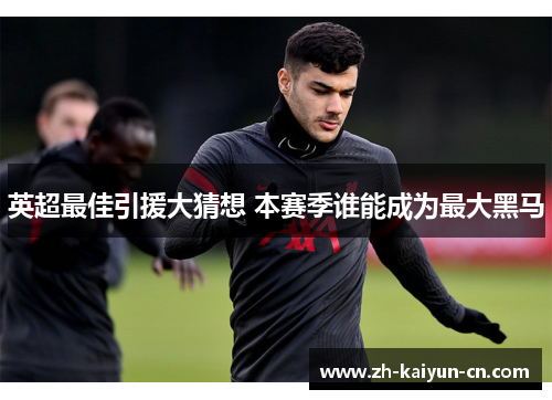 英超最佳引援大猜想 本赛季谁能成为最大黑马
