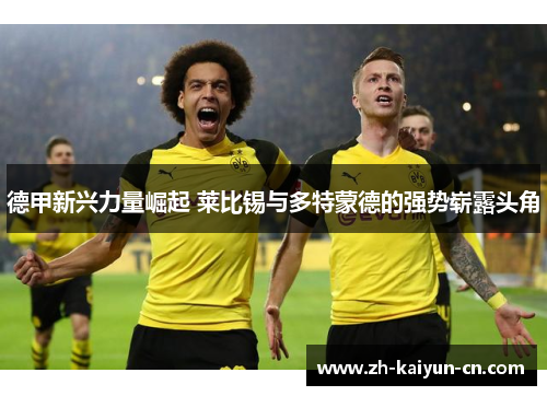 德甲新兴力量崛起 莱比锡与多特蒙德的强势崭露头角